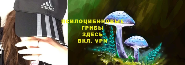 скорость Богородск