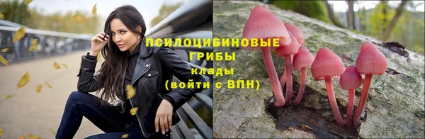 PSILOCYBIN Богородицк